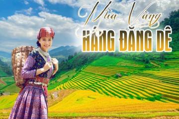 Ngỡ ngàng mùa vàng Háng Đăng Dê Mù Cang Chải đẹp như miền cổ tích