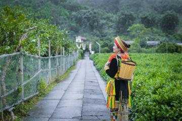 [Cập nhật] Phát hiện đồi chè Phiêng An Bắc Kạn Thái Nguyên xanh mướt, chụp hình bao chill 