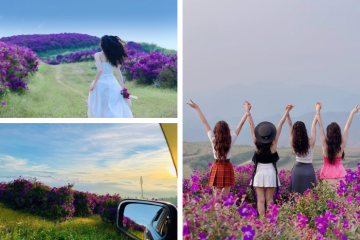 Đồi hoa tím Suối Bon Sơn La – chín điểm lãng mạn, mười điểm mộng mơ