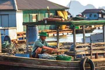 Thăm làng chài Ba Hang Hạ Long - nơi cuộc sống chậm rãi bình yên như bức tranh thuỷ mặc