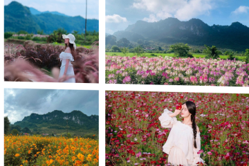 Mộc Hoa Garden Mộc Châu - Thiên đường hoa đẹp xao lòng nơi cao nguyên