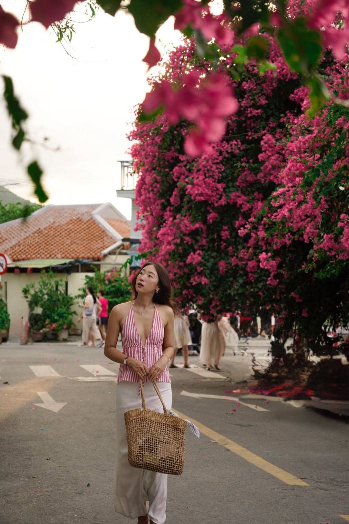 cung đường hoa giấy đẹp ở Nha Trang cung đường hoa giấy đẹp ở Nha Trang
