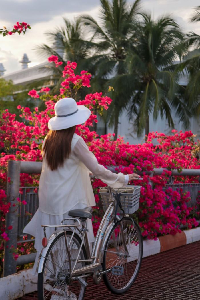cung đường hoa giấy đẹp ở Nha Trang cung đường hoa giấy đẹp ở Nha Trang