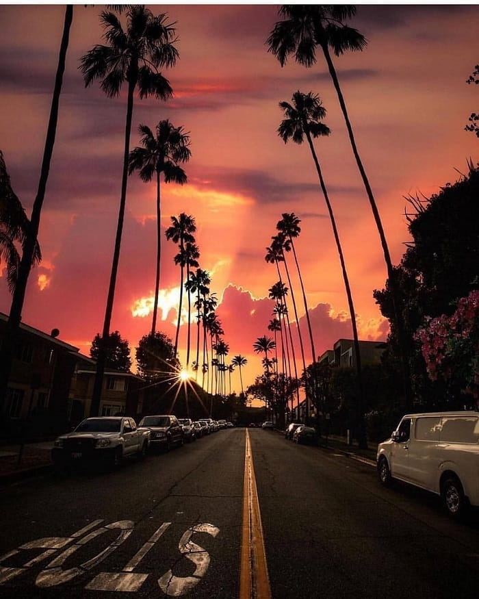 Khám phá đại lộ Sunset Boulevard Mỹ