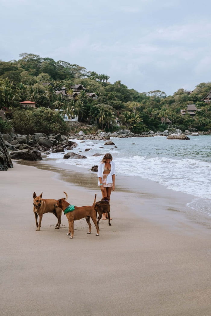 Khám phá thị trấn Sayulita là peso Mexico