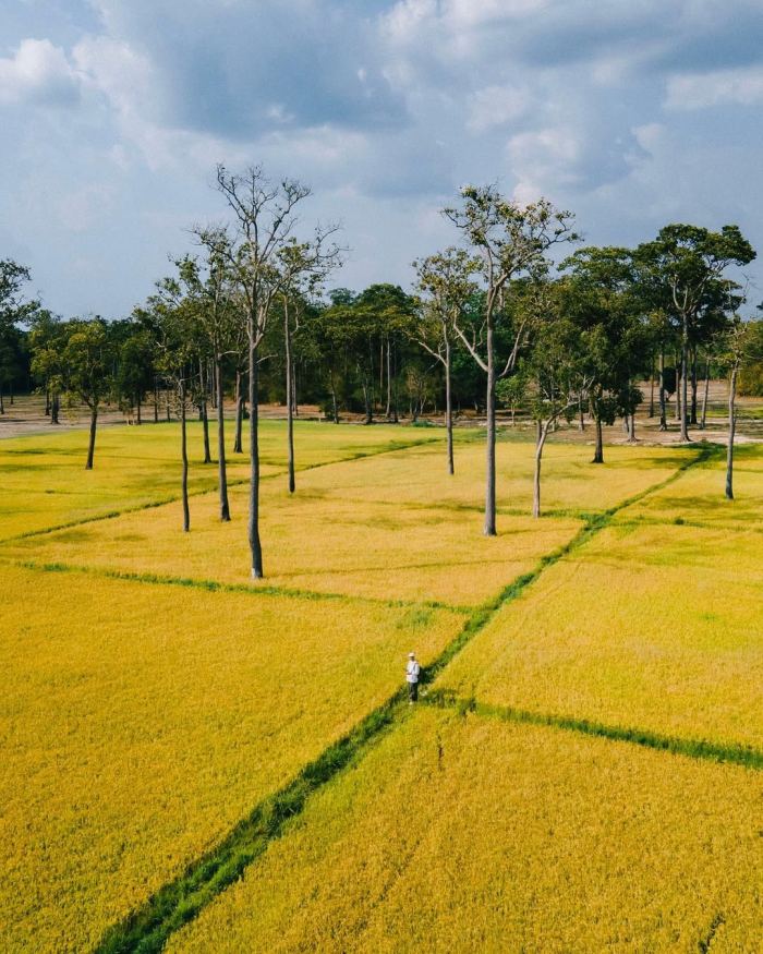 trải nghiệm ở VQG Cát Tiên trải nghiệm ở VQG Cát Tiên