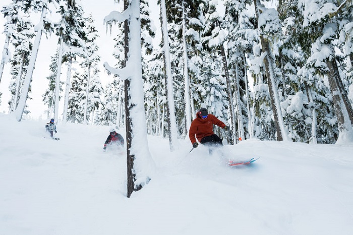Chinh phục khu trượt tuyết Whistler Canada