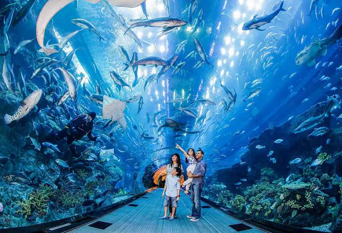 Dubai Aquarium & Underwater Zoo ở đâu