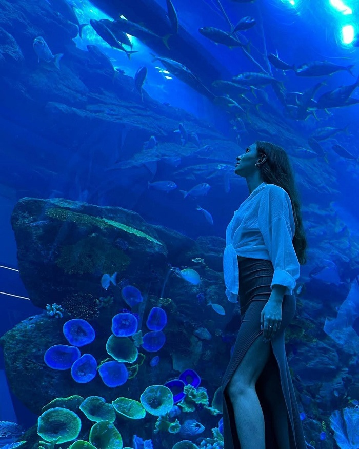 Dubai Aquarium & Underwater Zoo vé tham quan