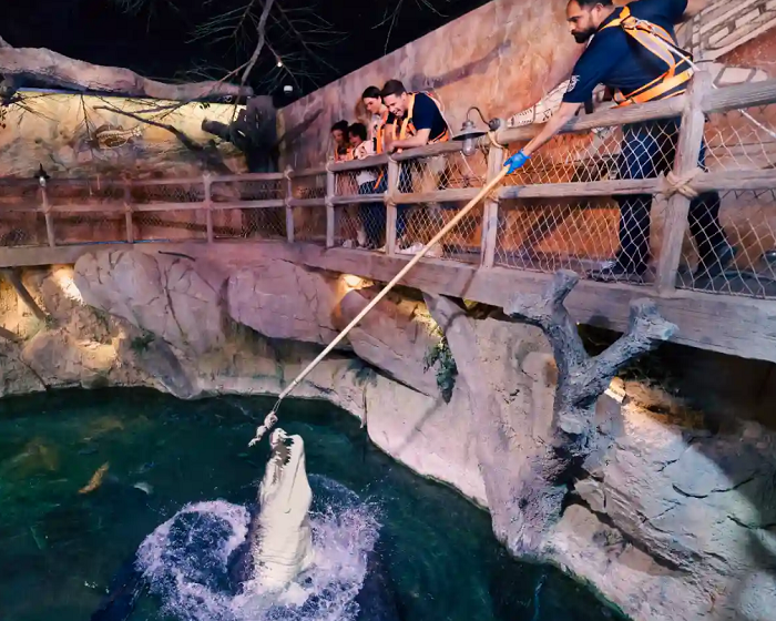 Dubai Aquarium & Underwater Zoo tham quan