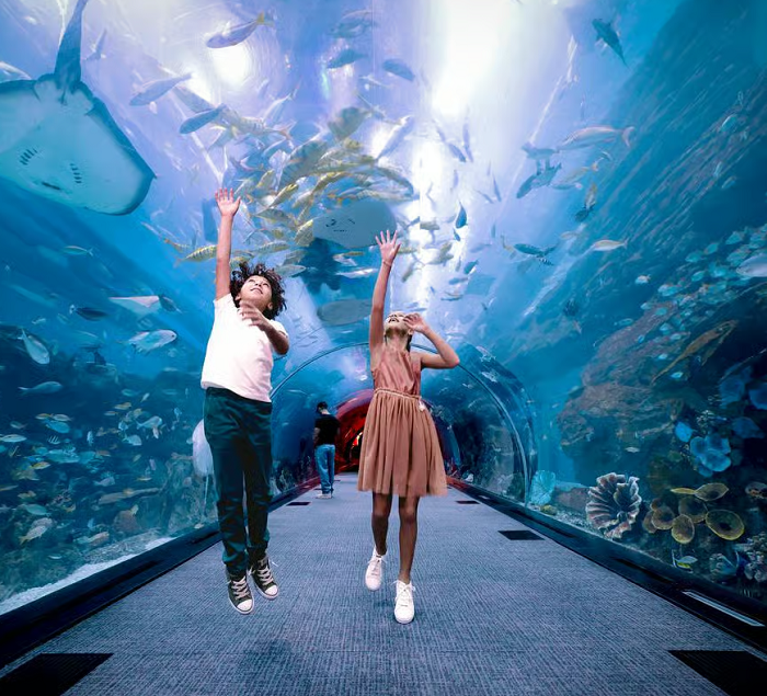 Dubai Aquarium & Underwater Zoo tham quan