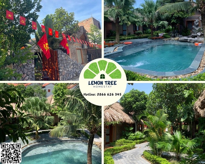 homestay ở Hoa Lư Ninh Bình - Lemon Tree