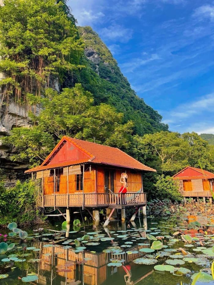 homestay ở Hoa Lư Ninh Bình - Lotus Field Homestay Hoa Lư