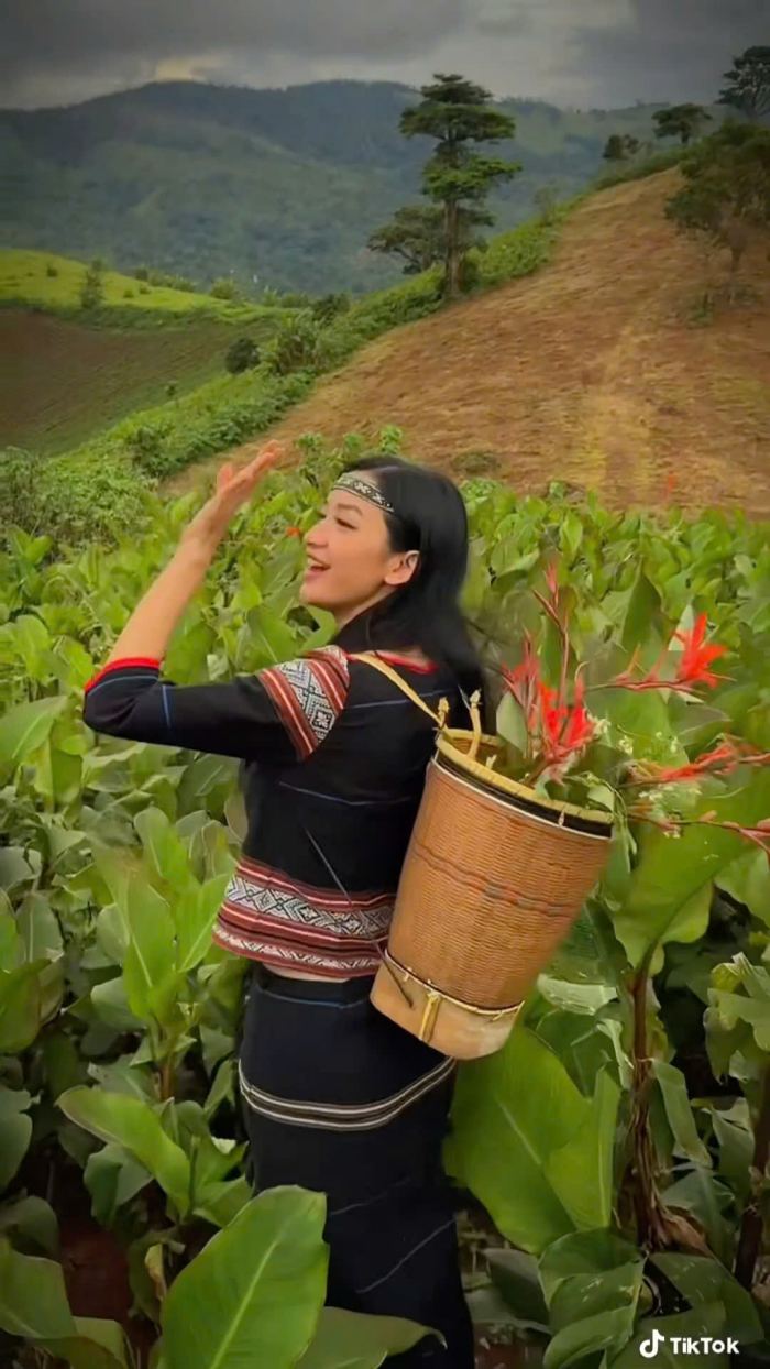 thời gian bắt đầu Mùa hoa dong riềng ở Chư Đăng Ya 