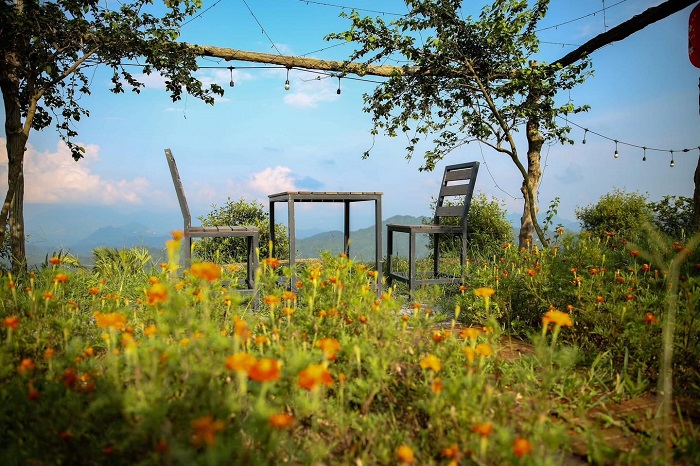 SIM Farmstay Hà Giang tràn ngập sắc hoa