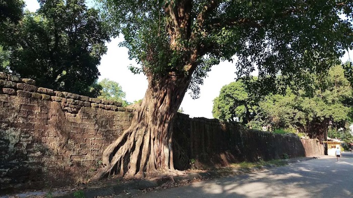 thành cổ Bắc Ninh - tham quan