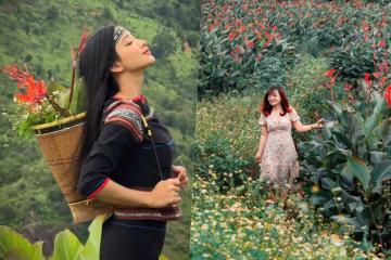 Đẹp siêu lòng mùa hoa dong riềng ở Chư Đăng Ya thắp lửa đỏ rực xứ cao nguyên