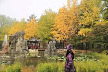 Đảo Nami Hàn Quốc - Hòn đảo nhỏ mang hơi thở bình yên và đầy mộng mơ!