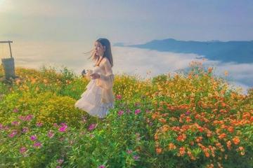 Du lịch Hoà Bình tháng 11 - đón mùa lúa chín vàng, tận hưởng sắc mơ màng ngày đông