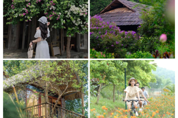 Những khu retreat đẹp ở Tây Bắc lý tưởng cho một chuyến đi ‘chữa lành’
