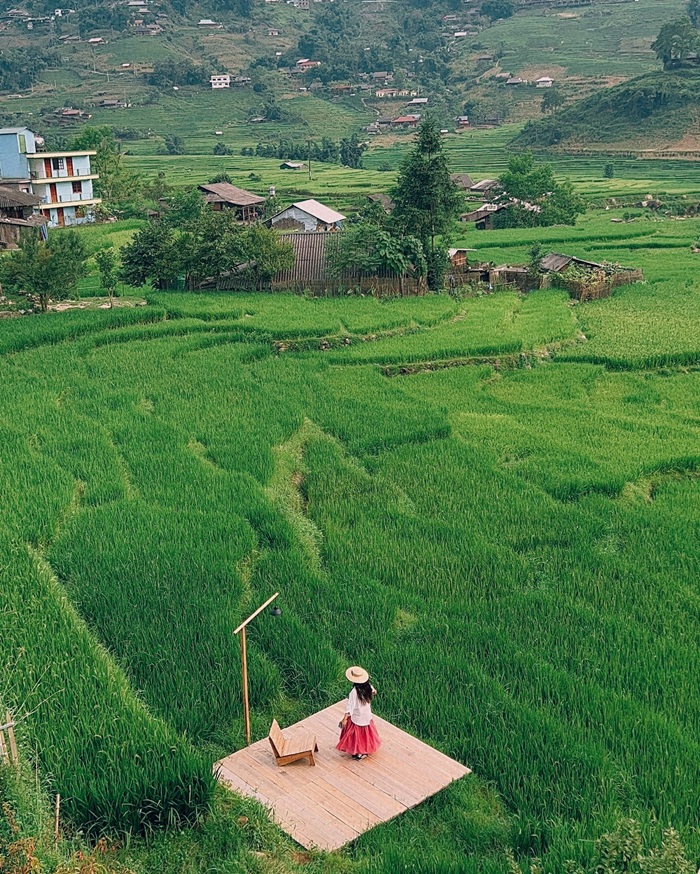 Vẻ yên bình của ruộng bậc thang ở Sapa - Ảnh: Báo Lao Động