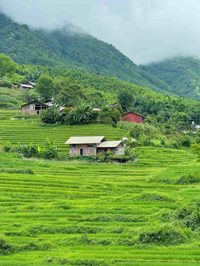 Sapa sáng sớm có gì đặc biệt? Ghé những bản làng để cảm nhận vẻ bình yên Tây Bắc - Ảnh: Báo Lao Động