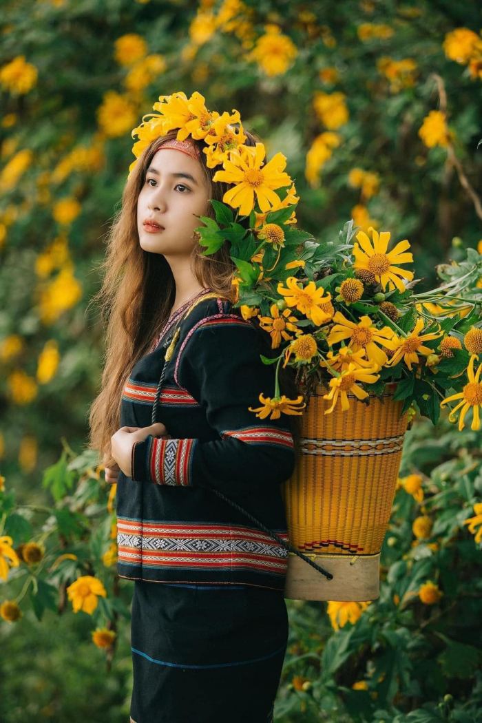 mùa hoa dã quỳ ở Chư Đăng Ya check-in