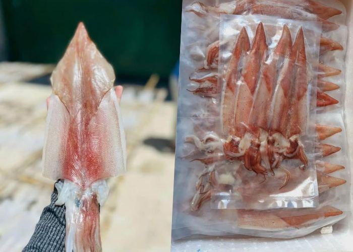 đặc sản làm quà ở Côn Đảo mực 1 nắng