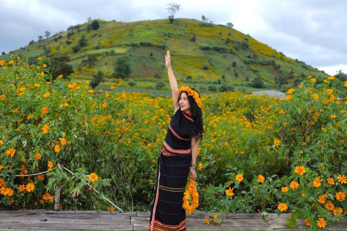 mùa hoa dã quỳ ở Chư Đăng Ya