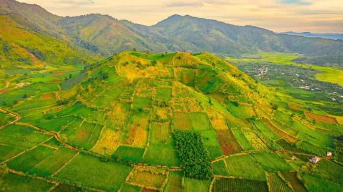 mùa hoa dã quỳ ở Chư Đăng Ya