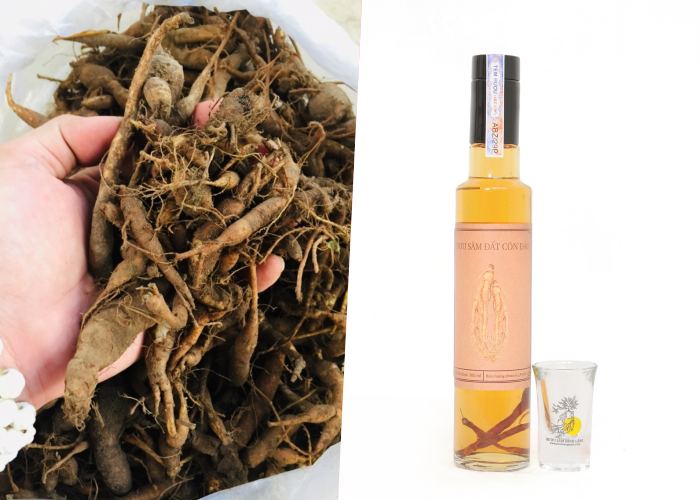 đặc sản làm quà ở Côn Đảo sâm đất đặc sản làm quà ở Côn Đảo sâm đất