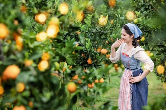 Bản Mộc Farm Mộc Châu đang chờ bạn ghé thăm