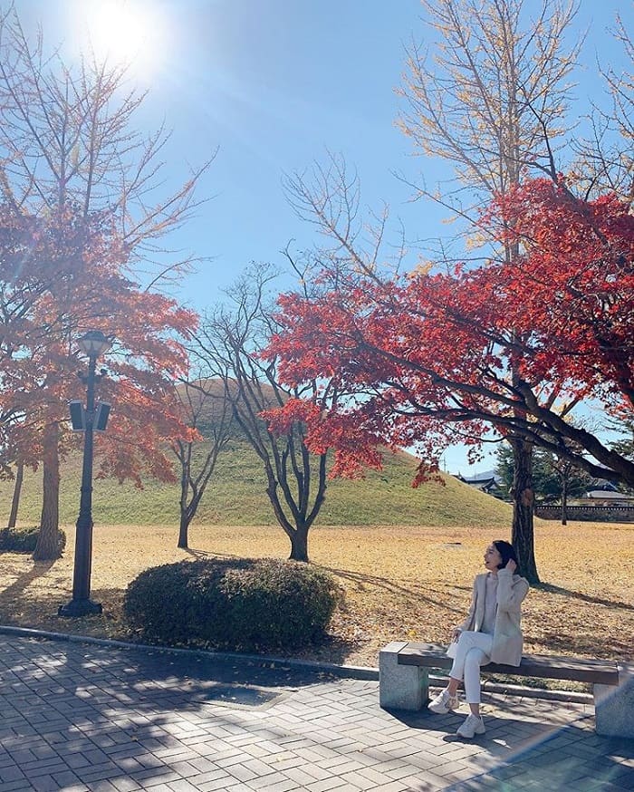cách đi từ Busan đến Gyeongju - công viên Tumuli