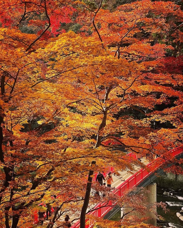 Korankei là điểm đến đẹp ở Bắc Á mà bạn nên một lần khám phá 