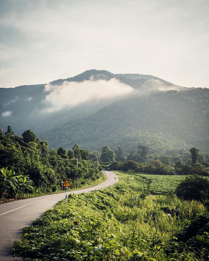 Đồi cỏ Phước Bình là một trong những đồi cỏ đẹp nhất miền Trung có cảnh đẹp nức lòng