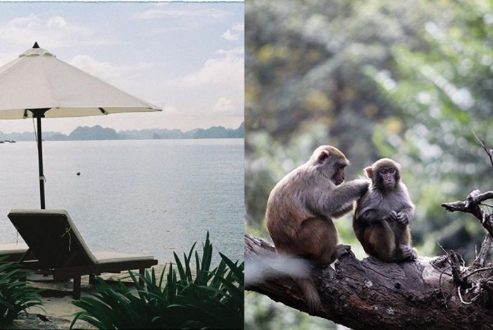 du lịch Hạ Long mùa đông - Đảo Rều