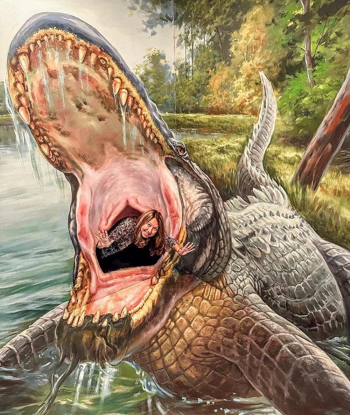 Check in bảo tàng Alive Hàn Quốc