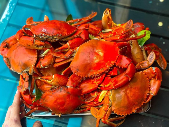 món ngon ở U Minh Hạ cua