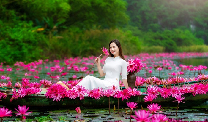 mùa hoa súng ở Ninh Bình - vẻ đẹp 