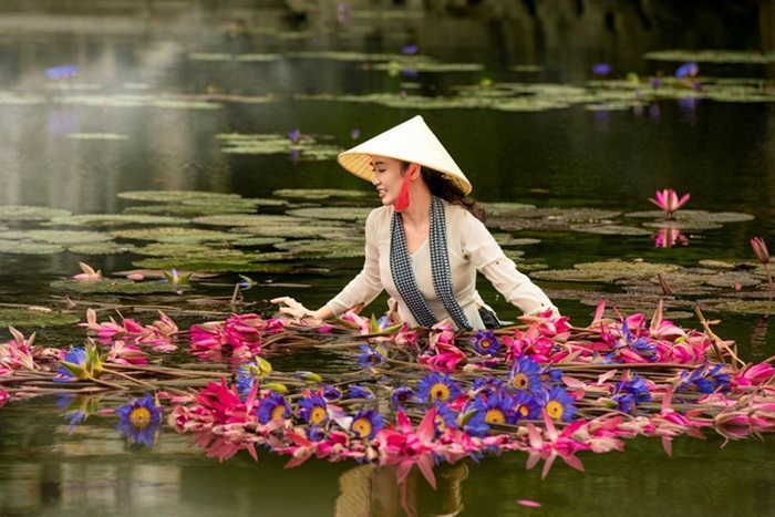 mùa hoa súng ở Ninh Bình - thời điểm