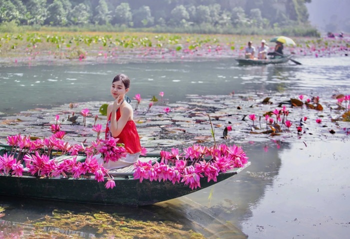 mùa hoa súng ở Ninh Bình - ngắm cảnh
