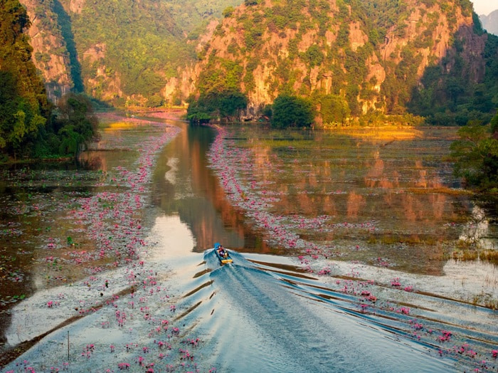 mùa hoa súng ở Ninh Bình - leo đỉnh núi