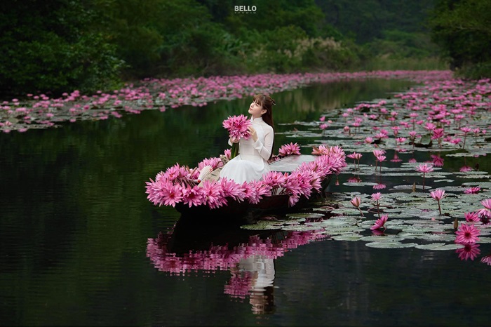 mùa hoa súng ở Ninh Bình - ngồi thuyền