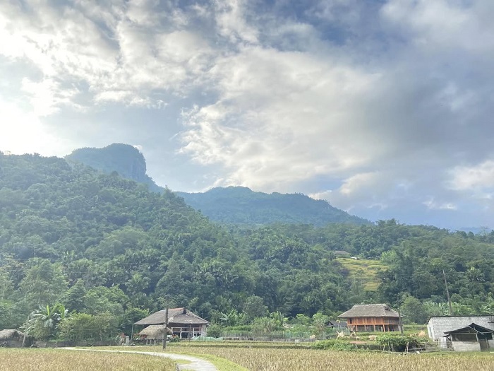 Quảng Nguyên Hà Giang hấp dẫn du khách bởi vẻ đẹp tự nhiên