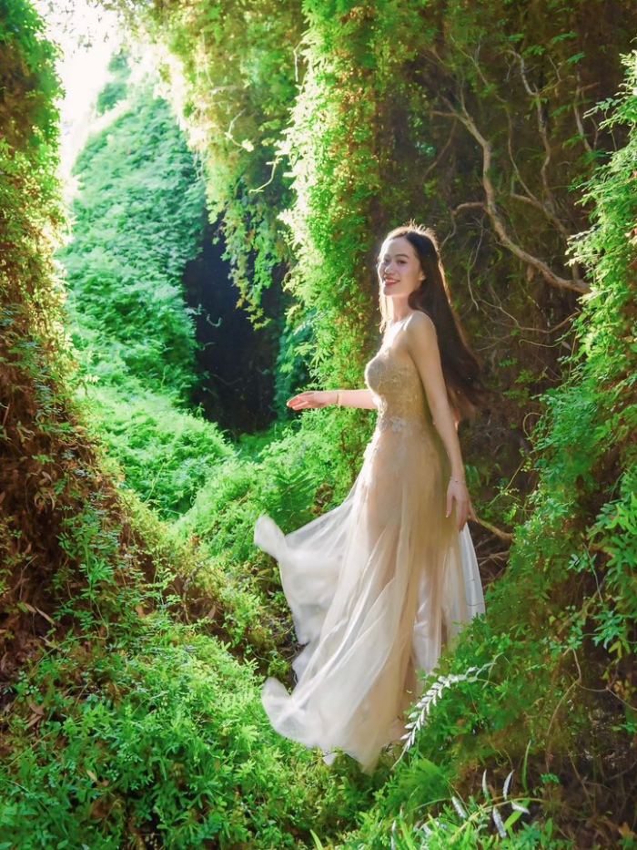 rừng tràm Cam Lâm khung cảnh