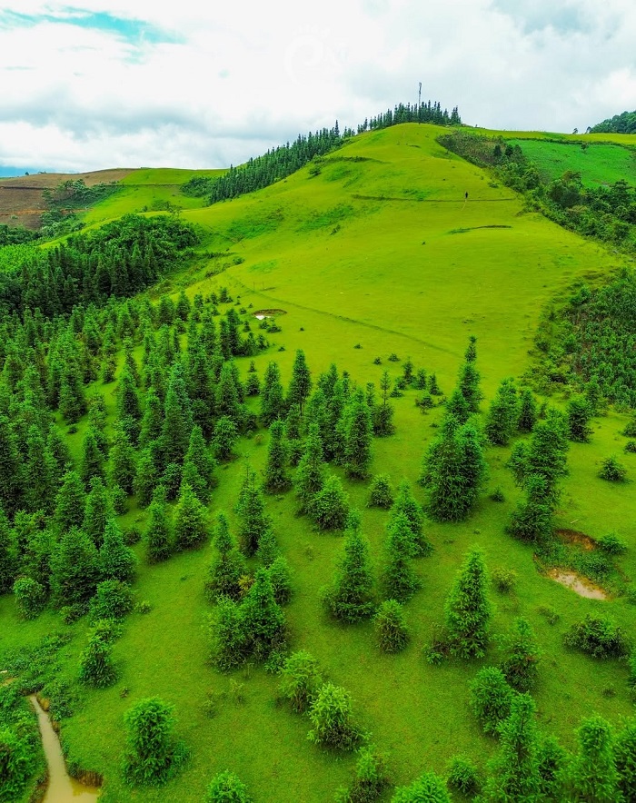 Thảo nguyên Cốc Sâm Bắc Hà ở đâu?