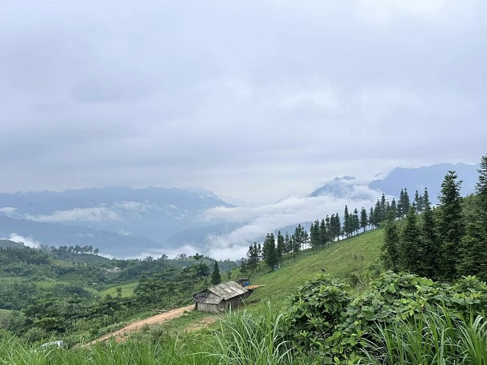 Thảo nguyên Cốc Sâm Bắc Hà góc nào cũng đẹp