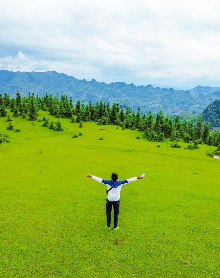 Thảo nguyên Cốc Sâm Bắc Hà mang lại sự bình yên, thư thái cho du khách