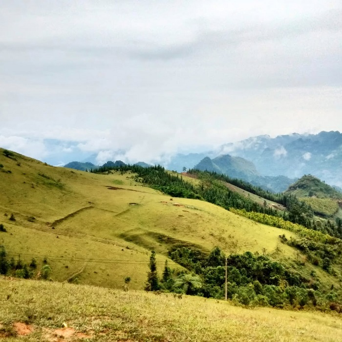 Thảo nguyên Cốc Sâm Bắc Hà mỗi mùa một vẻ đẹp