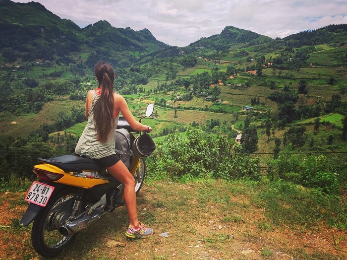 Thảo nguyên Cốc Sâm Bắc Hà hấp dẫn du khách